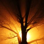 オフィス照明何年使っていますか?長持ちさせる照明器具の選び方コツとは?